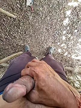 Snapshot of breejs chatting on 15, 11, 2025 breejs online show from 15, 11, 2025