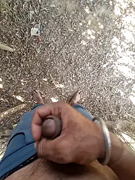 Snapshot of breejs chatting on 23, 11, 2025 breejs online show from 23, 11, 2025