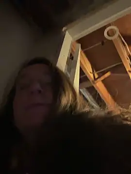 Mini And The Bear online show from 27, 3, 2026