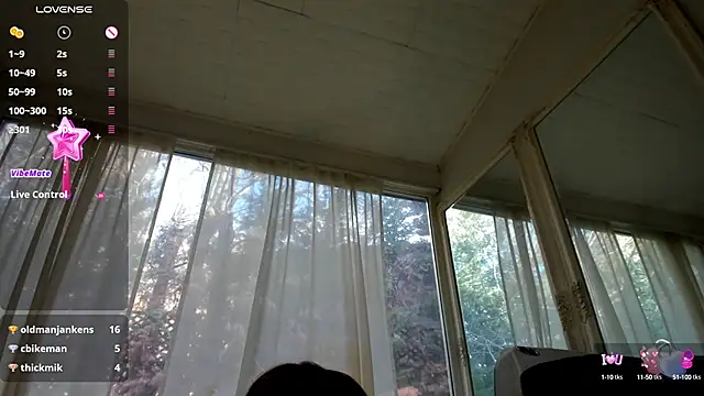 PixieLand online show from 29, 1, 2025