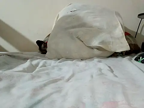 JamesQuaresma online show from 11, 2, 2026