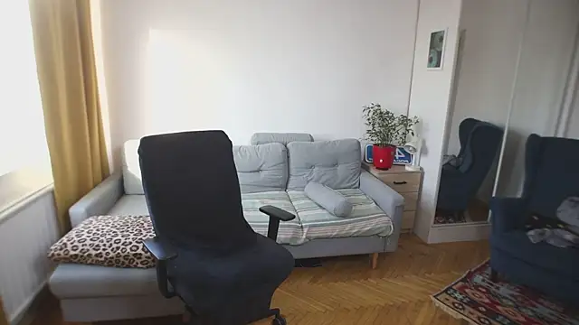 Snapshot of kevin-park chatting on 5, 2, 2026 kevin-park online show from 5, 2, 2026