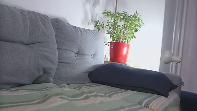 kevin-park online show from 18, 4, 2026