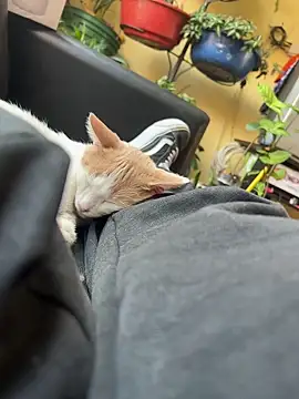 Lilmarieee online show from 24, 2, 2025