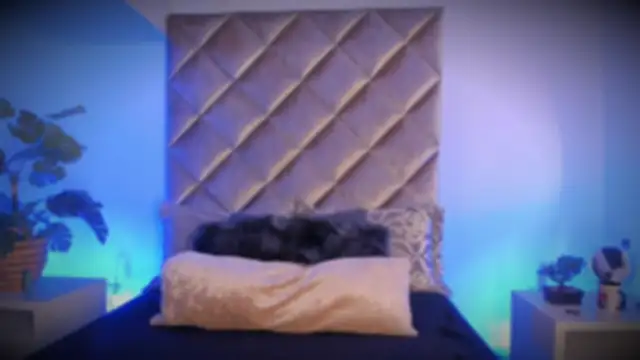 malaia hills online show from 10, 11, 2025