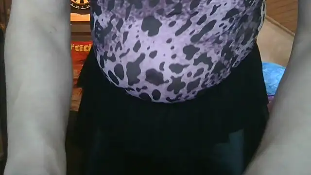 SchwanzlochStute online show from 18, 4, 2026