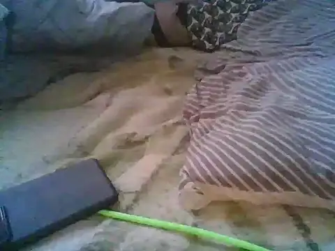 xsexy on91 online show from 5, 12, 2025