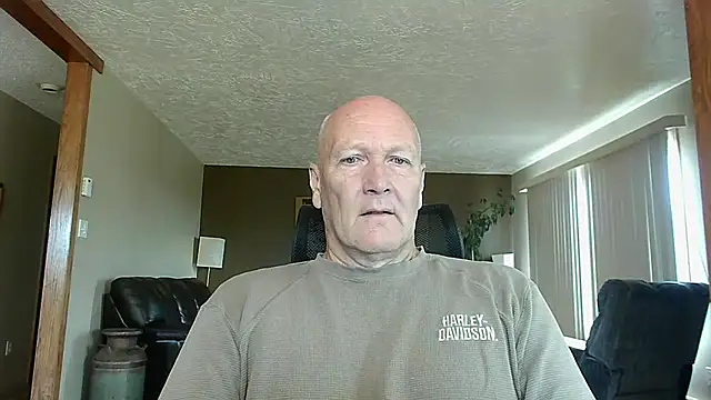 BasicAnt online show from 15, 9, 2025