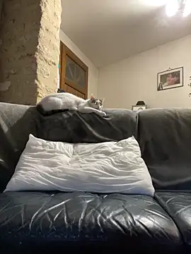 steph19x5 online show from 14, 3, 2026