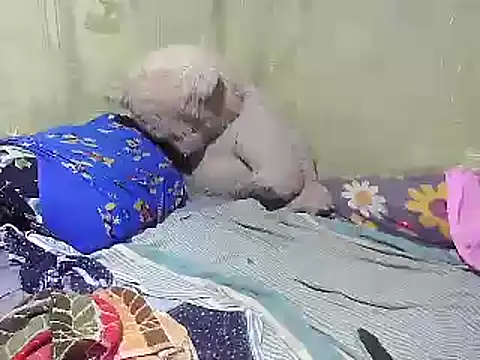 Alora-shine online show from 18, 2, 2025