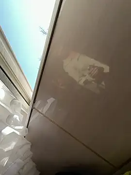 TigerOne19 online show from 9, 3, 2026