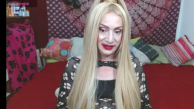 elena evans online show from 25, 11, 2025