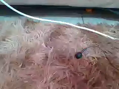 sexyjanett online show from 11, 3, 2025