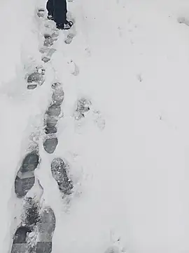 Saysomething3 online show from 11, 1, 2026