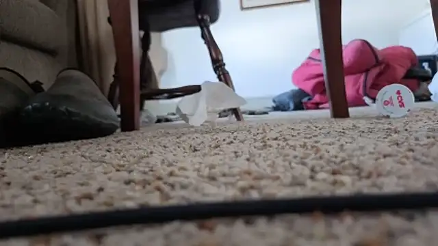 CDforU online show from 5, 2, 2026