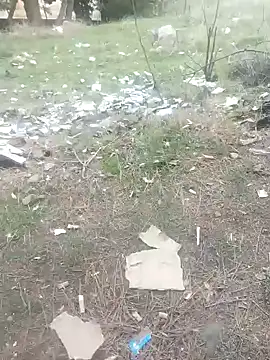 K-27 online show from 1, 1, 2025