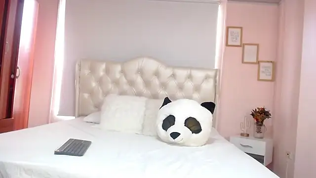 Snapshot of ryan_maxy chatting on 29, 1, 2025 ryan maxy online show from 29, 1, 2025