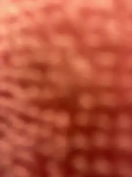 BigFineSelena online show from 11, 1, 2025