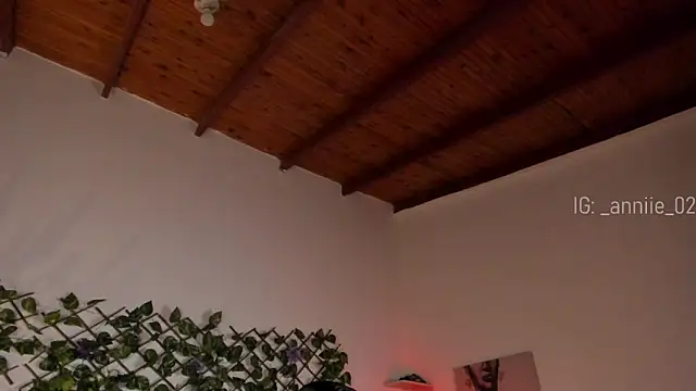 Snapshot of annie_barozzi chatting on 21, 1, 2025 annie barozzi online show from 21, 1, 2025