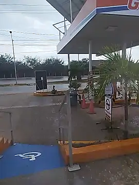 sagrado 1989 online show from 12, 1, 2026