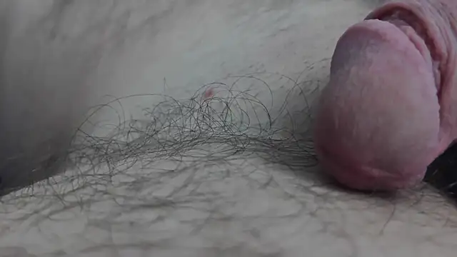 Snapshot of Fist-my-ass chatting on 24, 11, 2025 Fist-my-ass online show from 24, 11, 2025