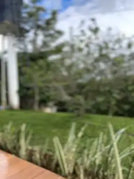 sahorix1 online show from 16, 2, 2026