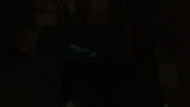 belindathompson online show from 7, 11, 2025