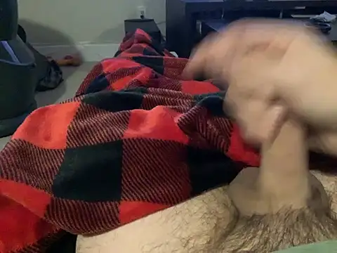 northcock87 online show from 19, 12, 2024