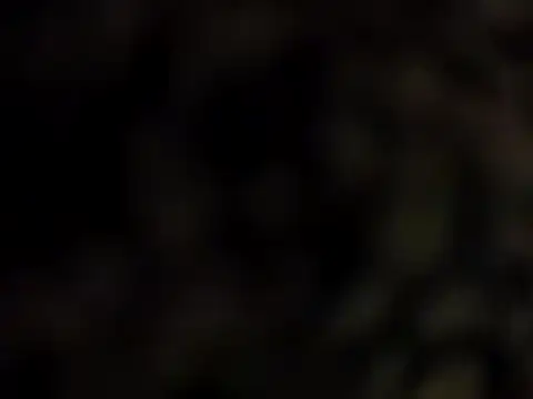 DarkHorse89 online show from 9, 9, 2025