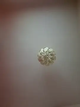 cuci45 online show from 21, 3, 2026