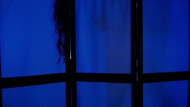 Snapshot of Wildorchid_ chatting on 2, 12, 2024 Wildorchid online show from 2, 12, 2024