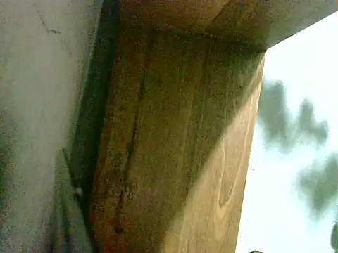 2ocmaxi online show from 8, 3, 2026