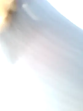 Snapshot of mustican422 chatting on 25, 2, 2025 mustican422 online show from 25, 2, 2025