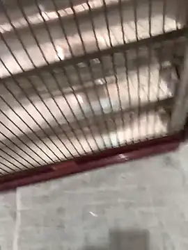 Snapshot of mustican422 chatting on 25, 10, 2025 mustican422 online show from 25, 10, 2025