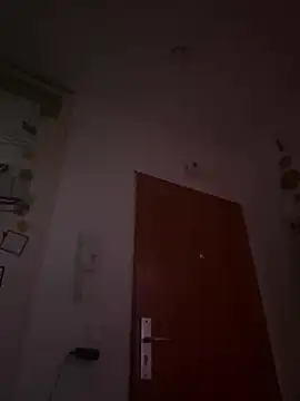 Toyjungee online show from 23, 12, 2024