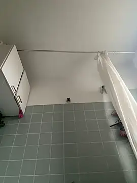 Toyjungee online show from 29, 12, 2024