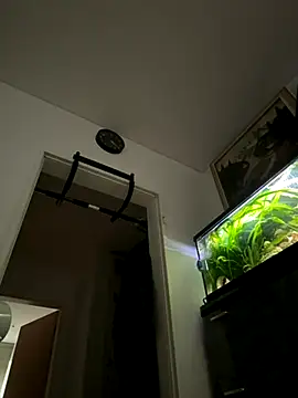 Toyjungee online show from 22, 9, 2025