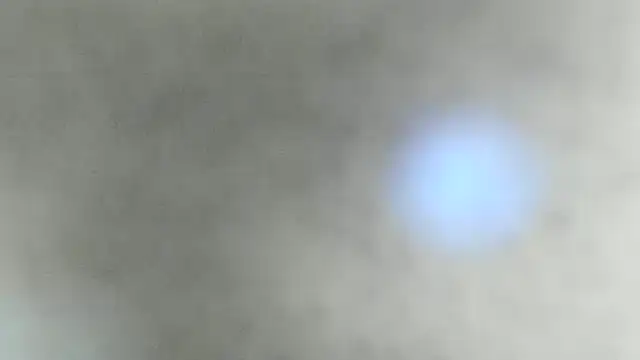 natasha logan  online show from 1, 2, 2025