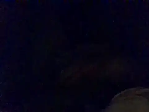 Snapshot of pritamkr69 chatting on 30, 12, 2024 pritamkr69 online show from 30, 12, 2024