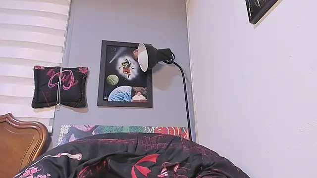 damn fox online show from 20, 12, 2024