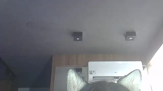 Skinny-Kitten online show from 3, 12, 2025