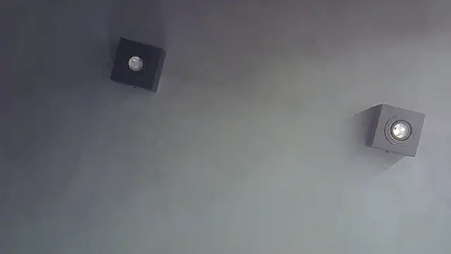 Skinny-Kitten online show from 6, 1, 2026