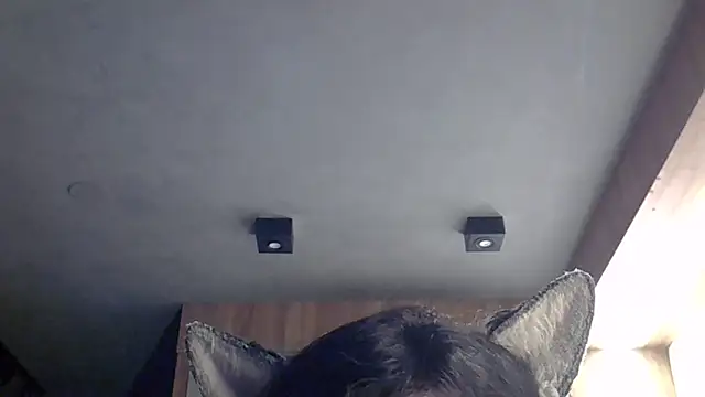 Skinny-Kitten online show from 4, 2, 2026