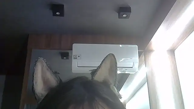 Skinny-Kitten online show from 5, 2, 2026