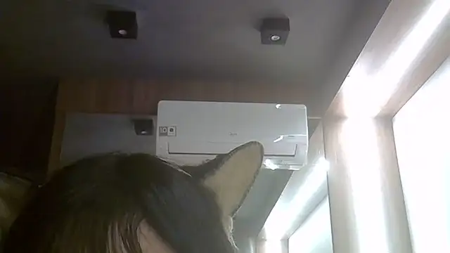 Snapshot of Skinny-Kitten chatting on 24, 6, 2026 Skinny-Kitten online show from 24, 6, 2026