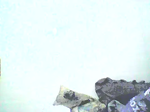 Stormward online show from 12, 1, 2025