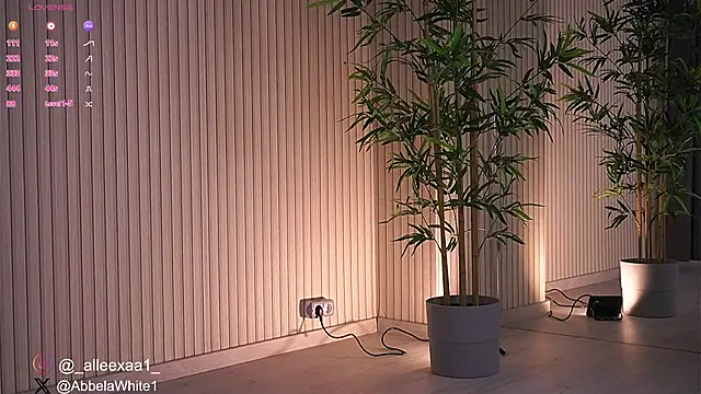 Abbela White online show from 27, 1, 2025