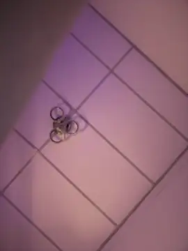 Charly  online show from 18, 12, 2025