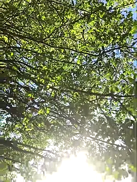 hottottrot691 online show from 28, 9, 2025