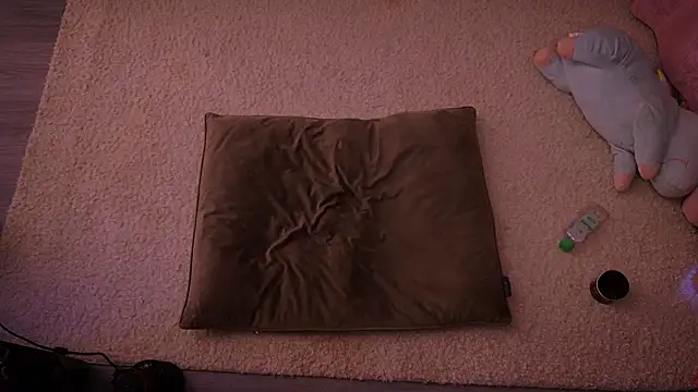 Redhead Shark new online show from 16, 2, 2026